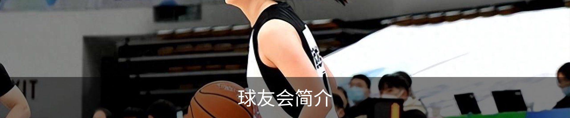 球友会简介
